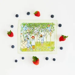 2025 New Sarah’s Silks Mini Mini Blueberry Children Seek & Find
