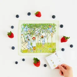 2025 New Sarah’s Silks Mini Mini Blueberry Children Seek & Find