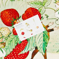 2025 New Sarah’s Silks Strawberry Family Seek & Find