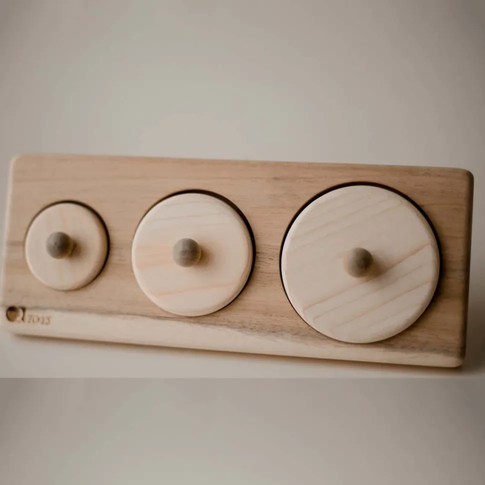 QToys 3 Circle Puzzle