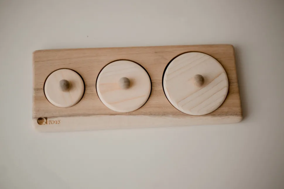 QToys 3 Circle Puzzle