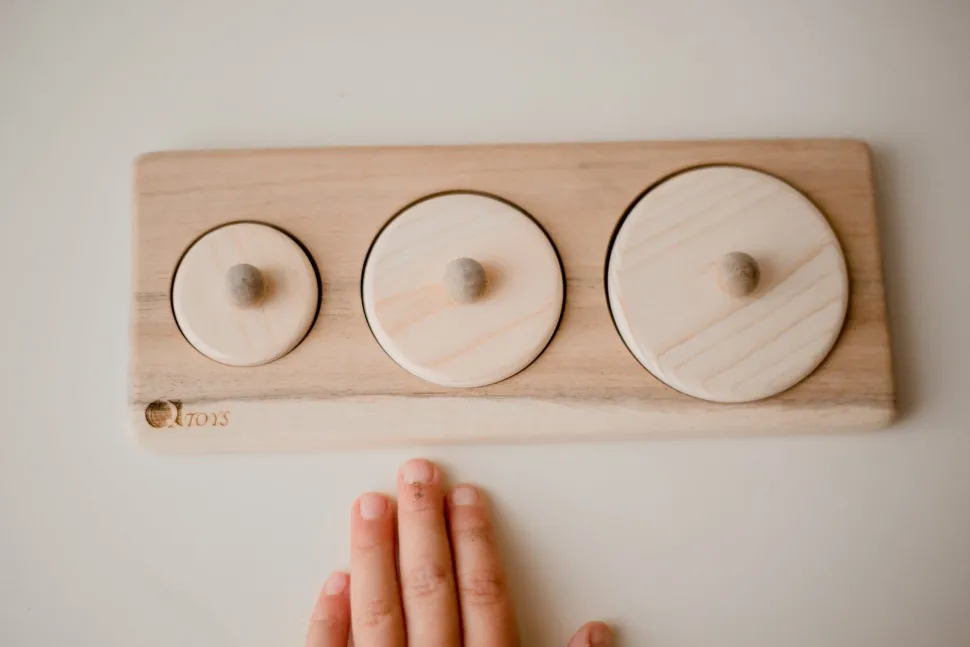 QToys 3 Circle Puzzle