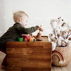 QToys 3 in1 Toddler Chair