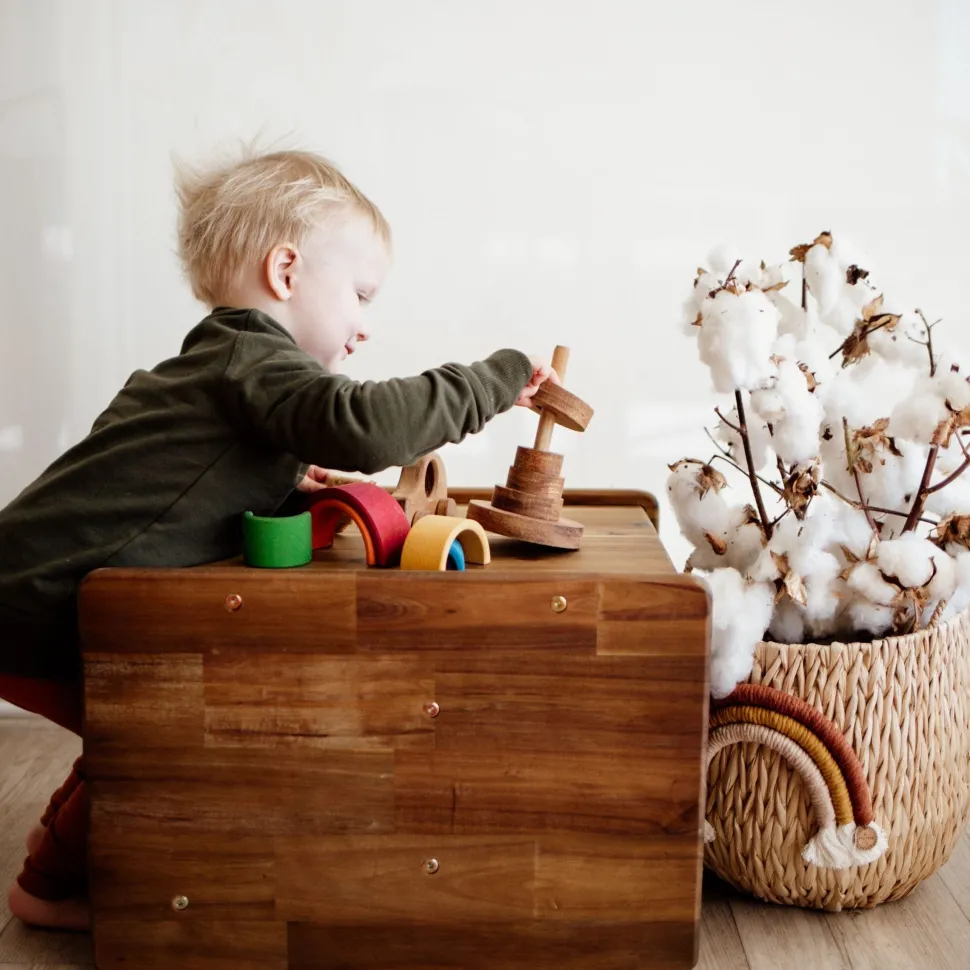 QToys 3 in1 Toddler Chair
