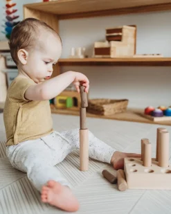 QToys 9 Pole Puzzle
