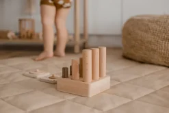 QToys 9 Pole Puzzle