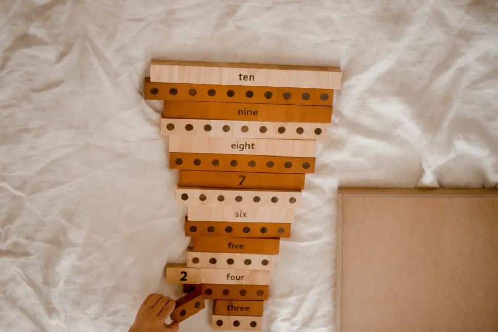 QToys 2 tone counting math set