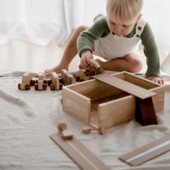 QToys All In One Car Play Set