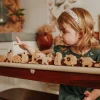 QToys Australian Animal Set of 10