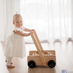 QToys Classic Baby Walker
