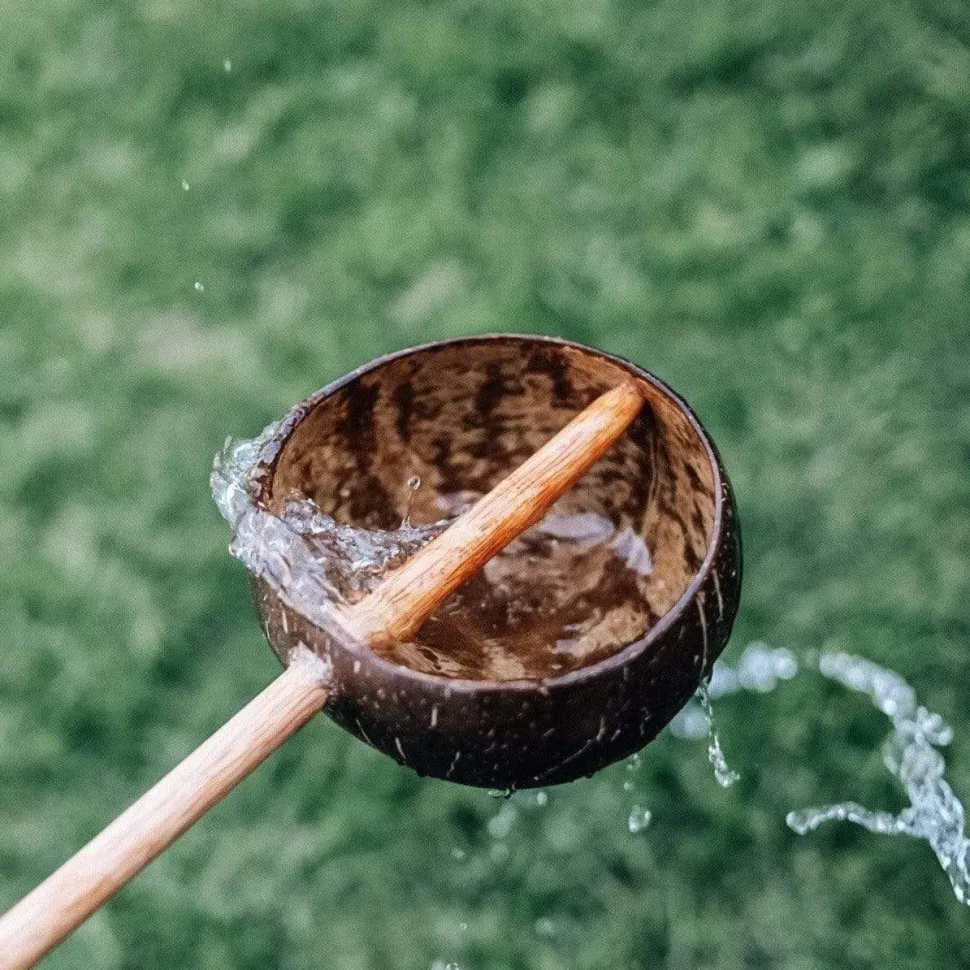 Qtoys Coconut Water Scoop