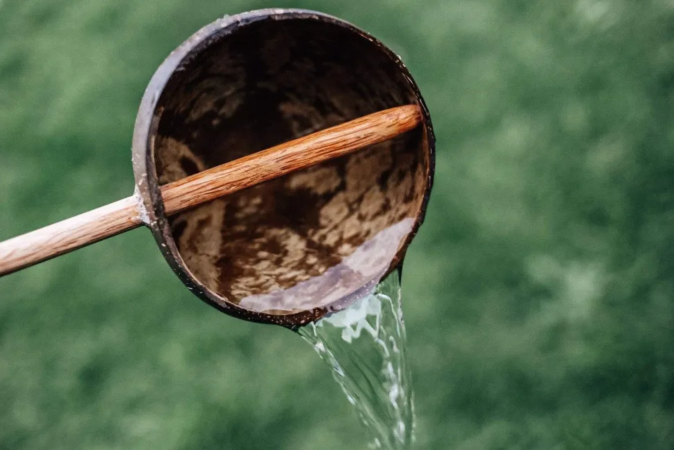 Qtoys Coconut Water Scoop