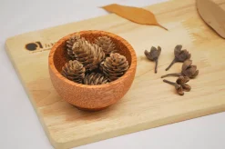 QToys Coconut Wood Bowl
