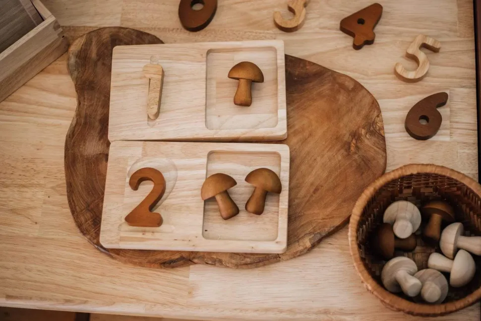 QToys Jumbo Counting Trays