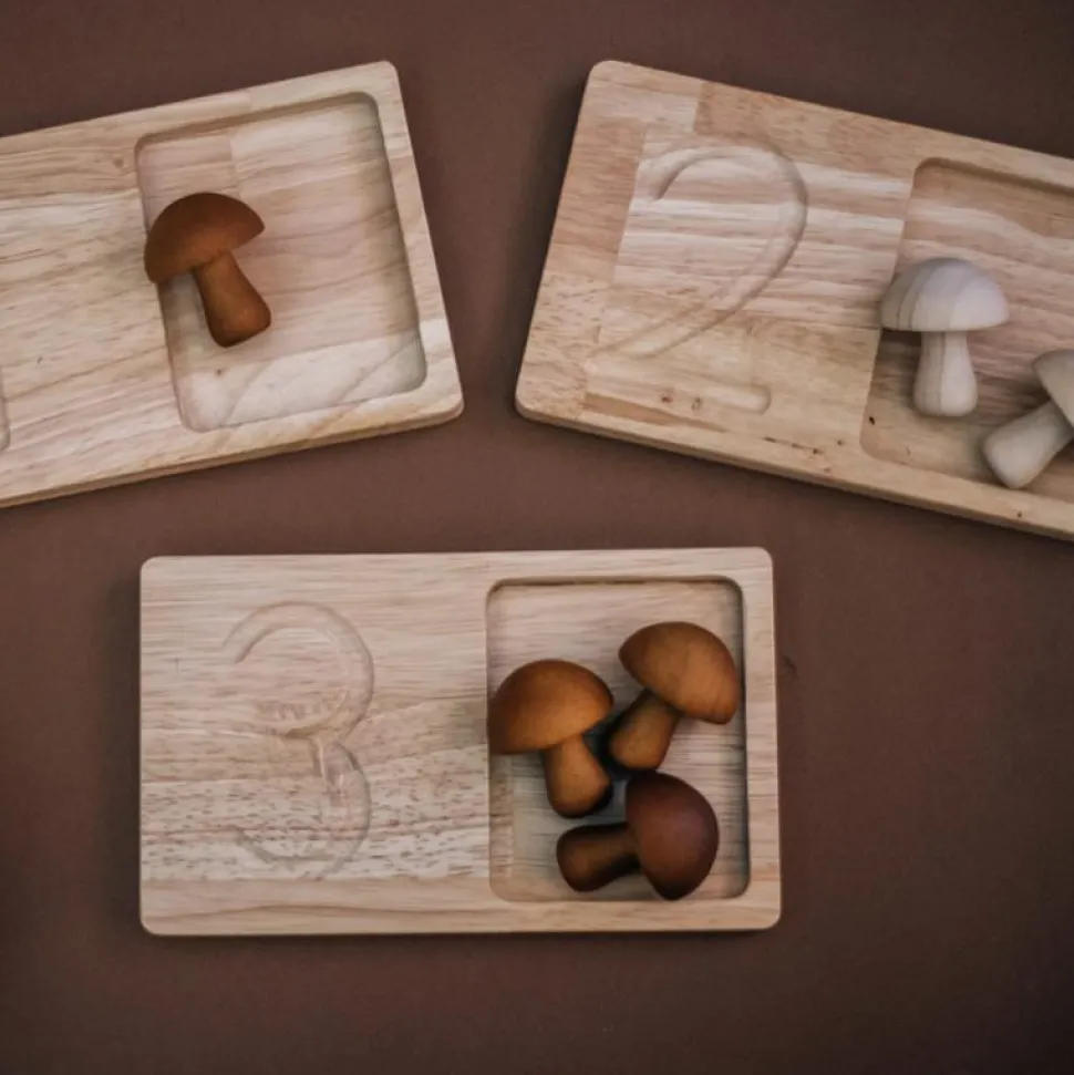 QToys Jumbo Counting Trays