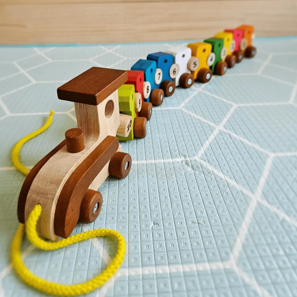 QToys Lacing Train