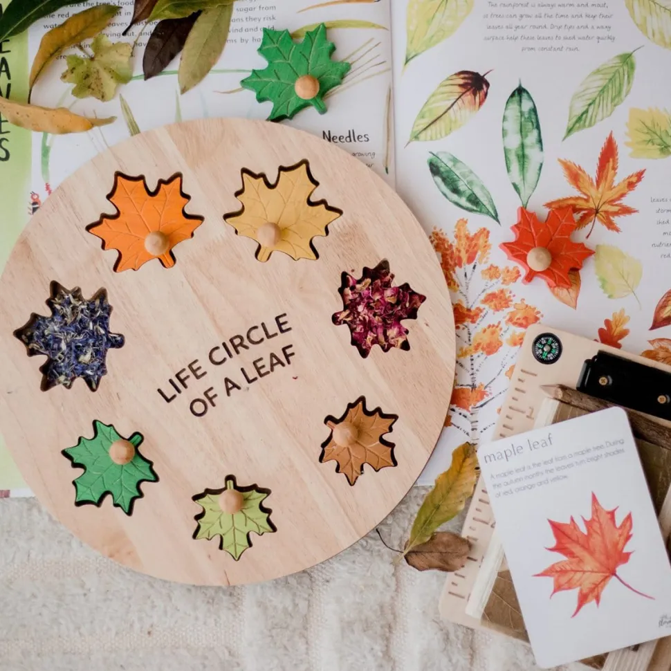 QToys Leaf Circle Of Life Puzzle