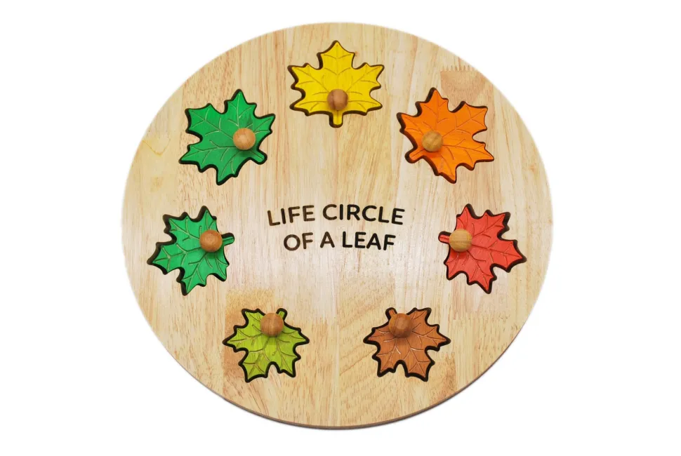 QToys Leaf Circle Of Life Puzzle