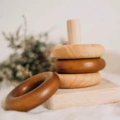 QToys Montessori Baby Rings
