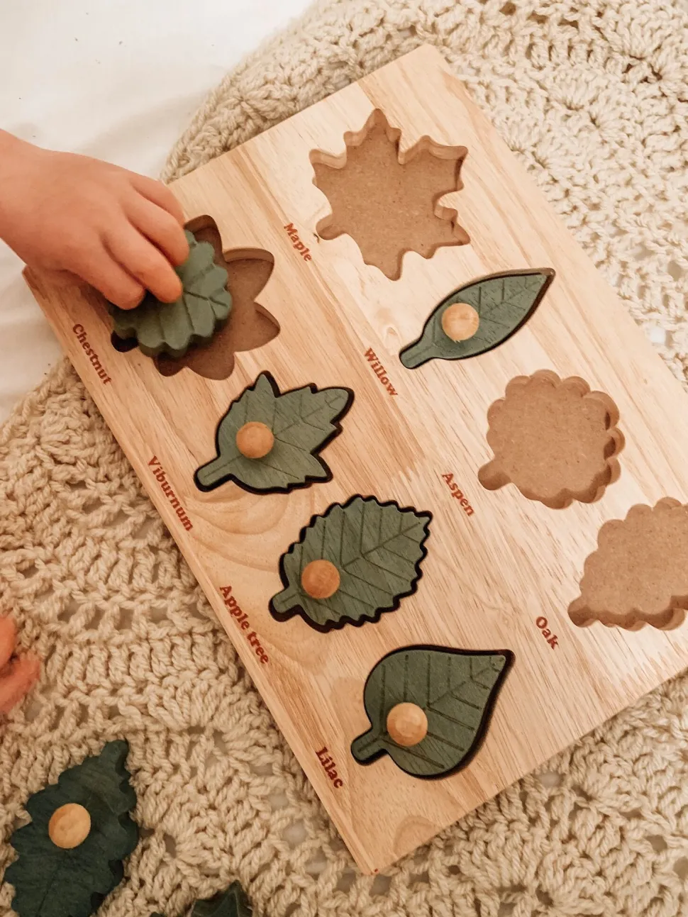 QToys Montessori Leaf Puzzle