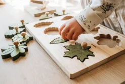 QToys Montessori Leaf Puzzle