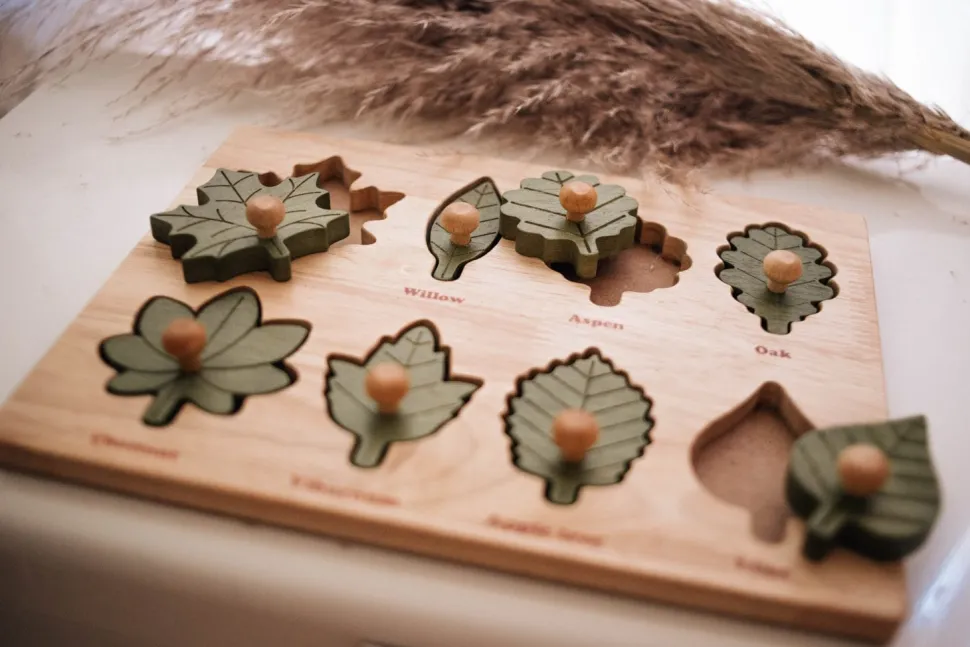 QToys Montessori Leaf Puzzle
