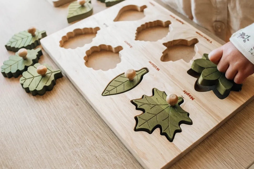 QToys Montessori Leaf Puzzle
