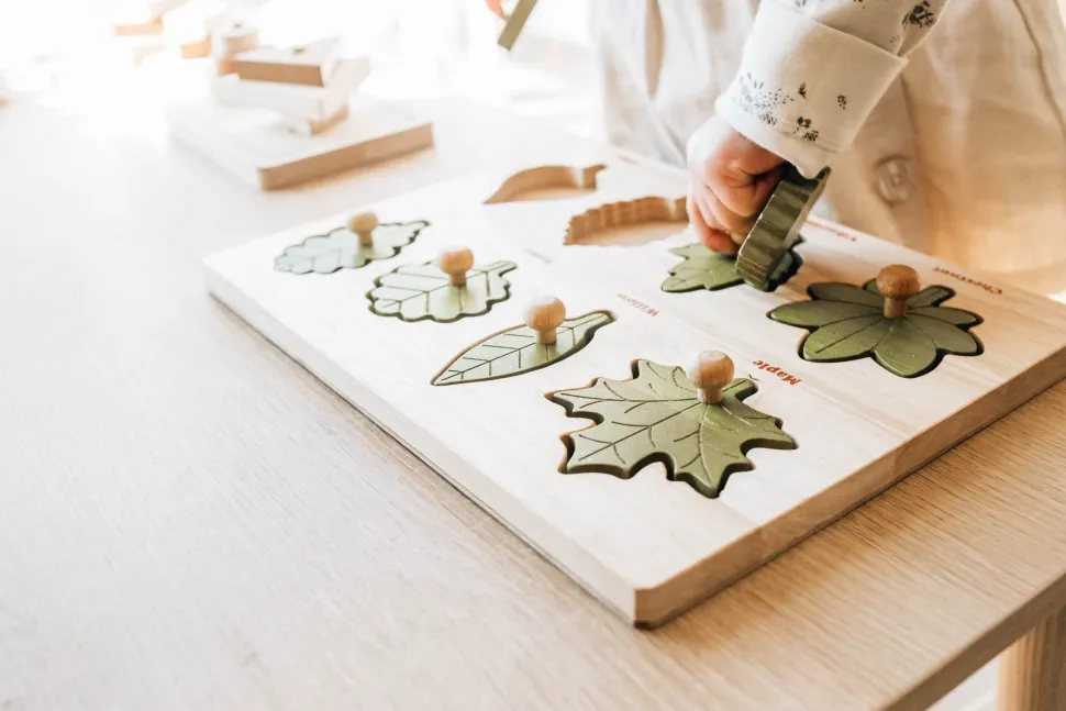 QToys Montessori Leaf Puzzle