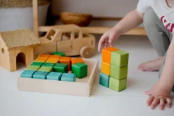 QToys My First Block Set (Coloured)