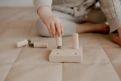 QToys Screw Game