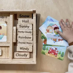Qtoys Weather Play set