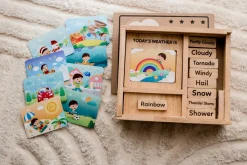 Qtoys Weather Play set