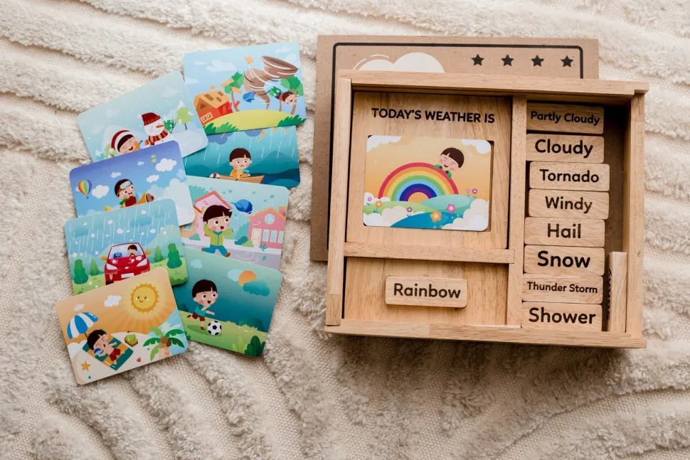 Qtoys Weather Play set
