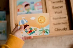Qtoys Weather Play set