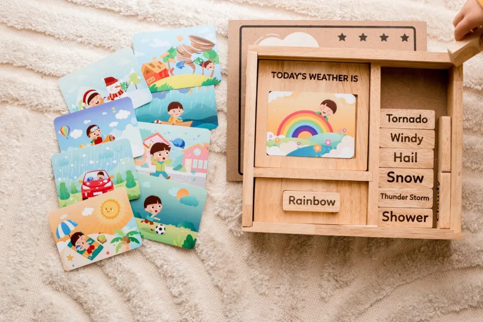 Qtoys Weather Play set