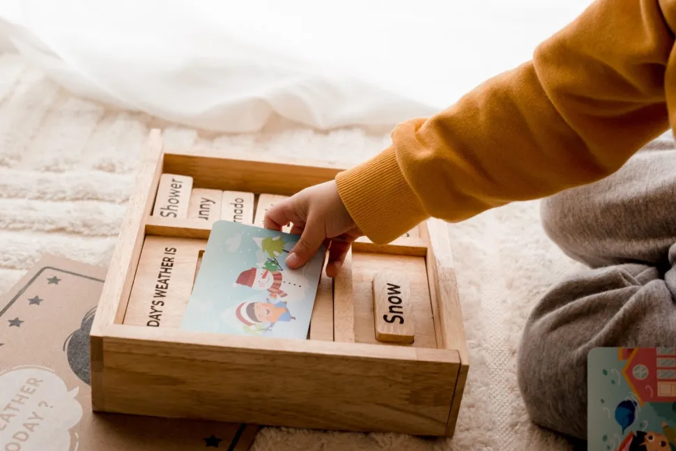 Qtoys Weather Play set