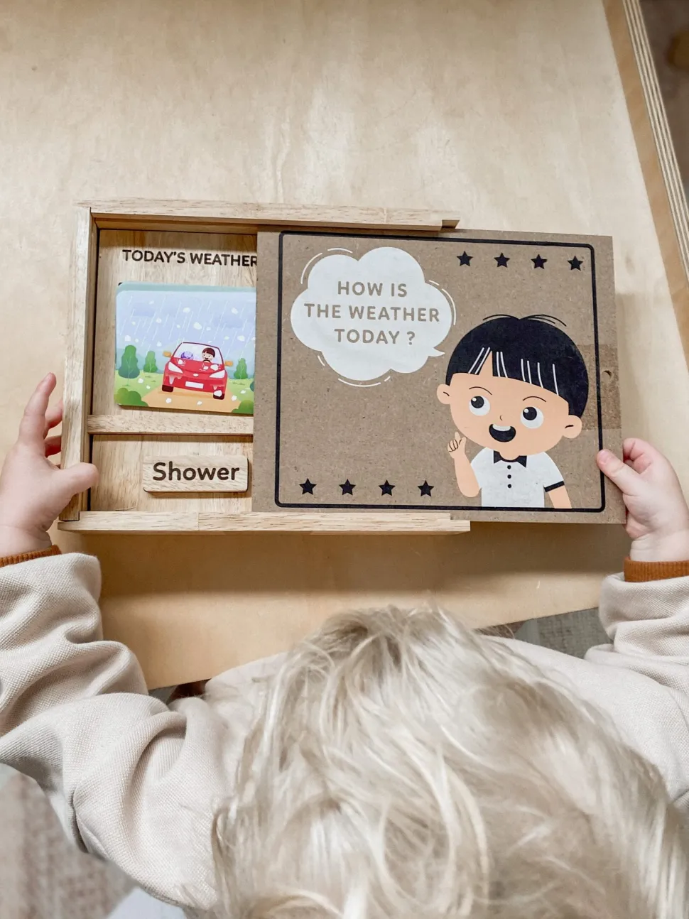 Qtoys Weather Play set