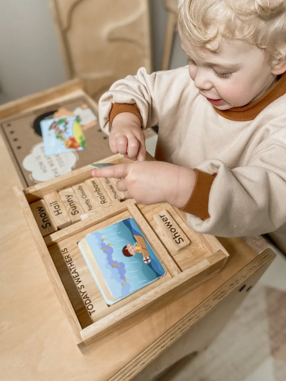 Qtoys Weather Play set