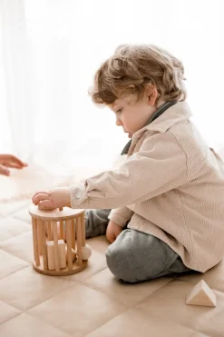 QToys Wooden Shape Sorter