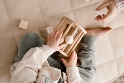 QToys Wooden Shape Sorter