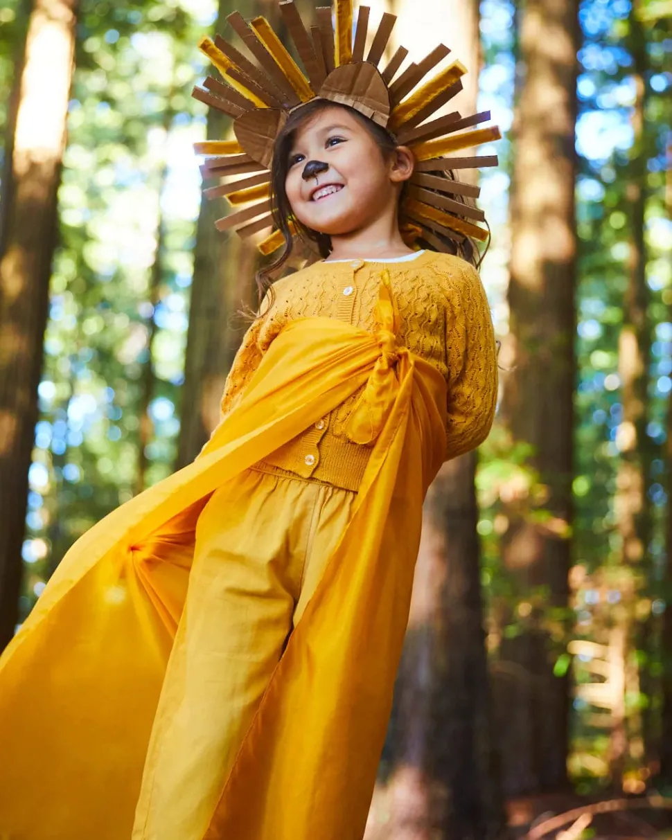 Sarah's Silks Lion Playsilk