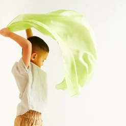 Sarah’s Silks Parrot Playsilk