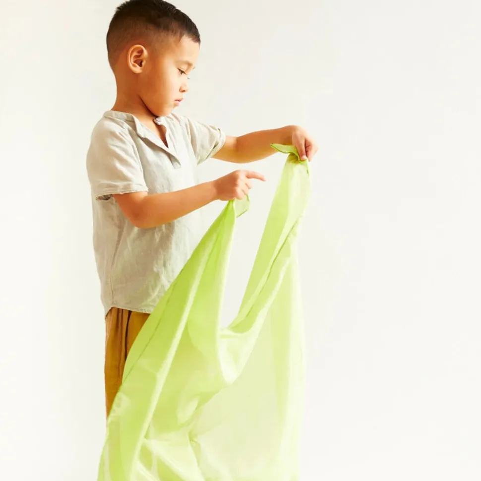 Sarah’s Silks Parrot Playsilk