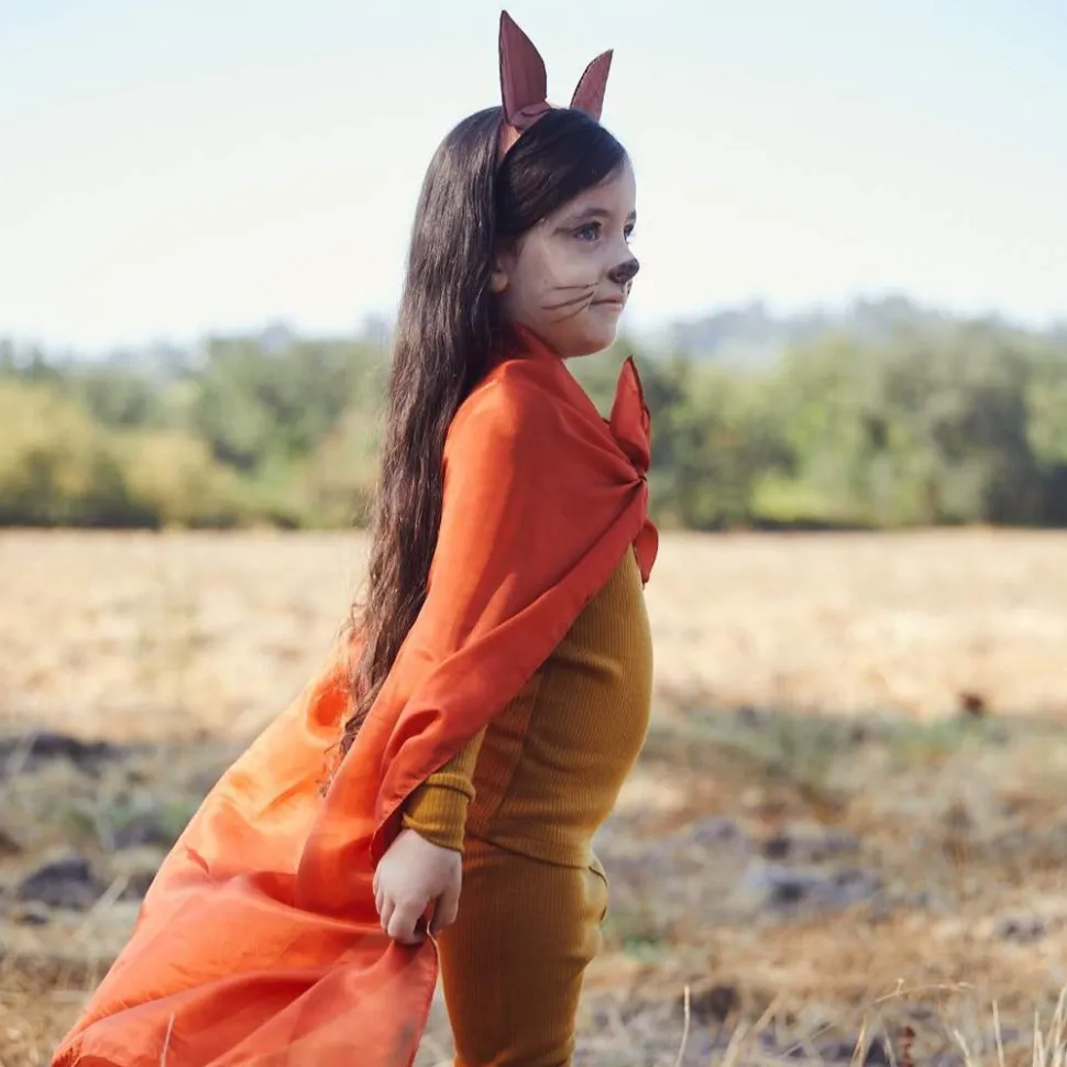 Sarah's Silks Playsilk Fox