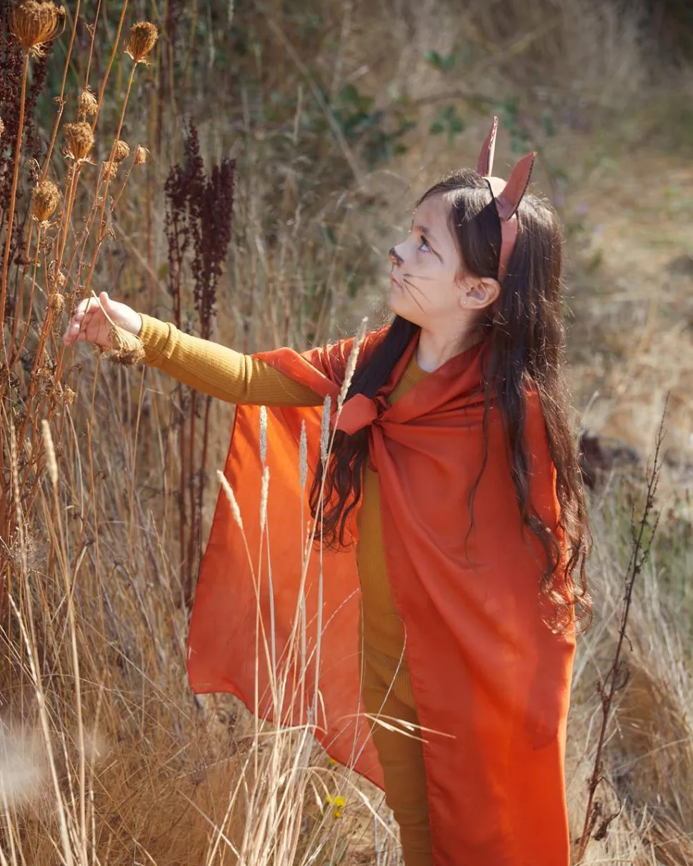 Sarah's Silks Playsilk Fox