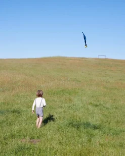 Sarah's Silks Skytails (Shooting Star)