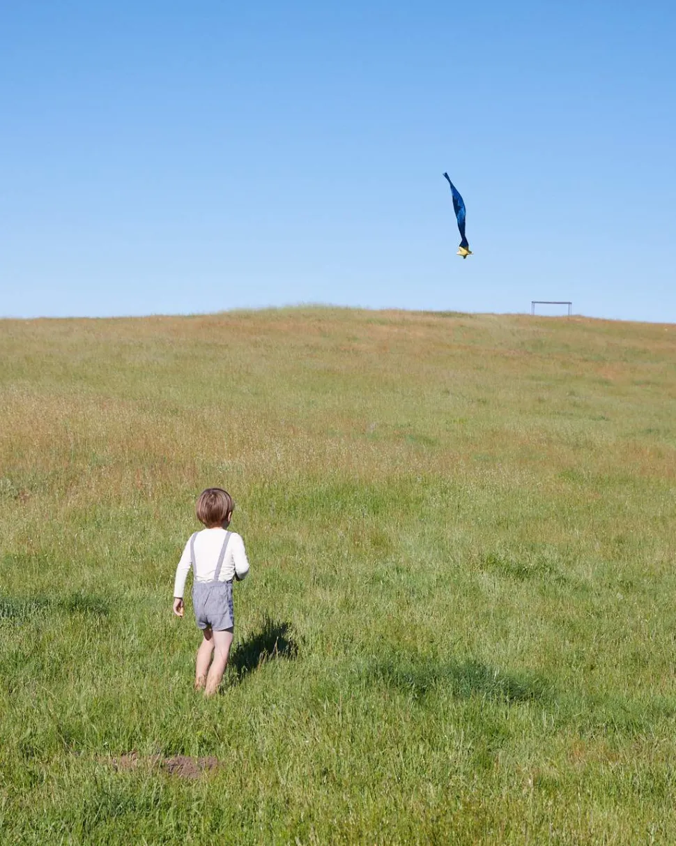 Sarah's Silks Skytails (Shooting Star)