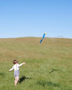 Sarah's Silks Skytails (Shooting Star)