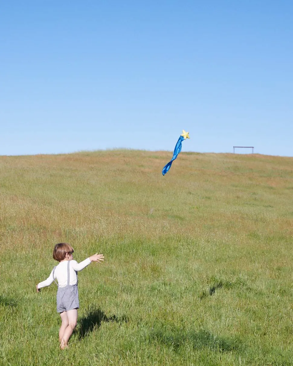 Sarah's Silks Skytails (Shooting Star)