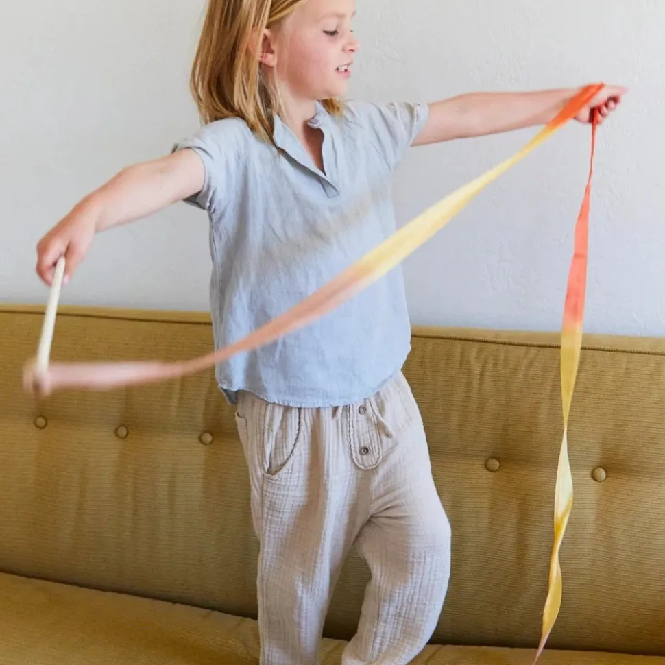 Sarah's Silks Streamer